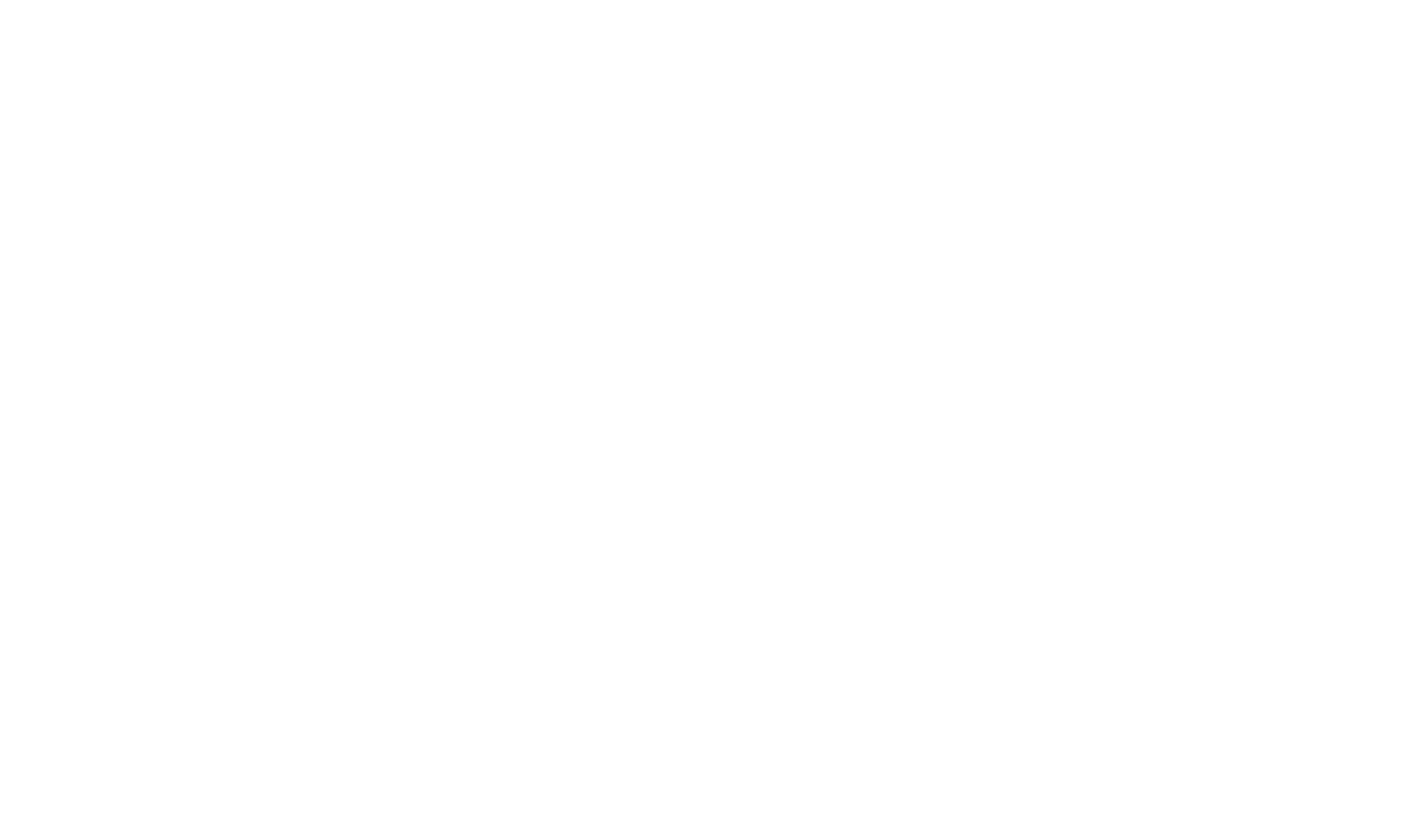 Salek Tyre And Mechanic